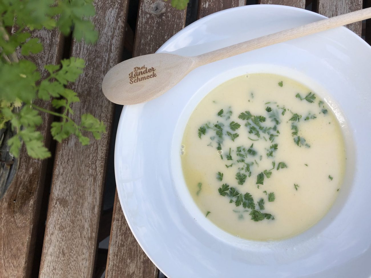 Spargelsuppe mit Kerbel