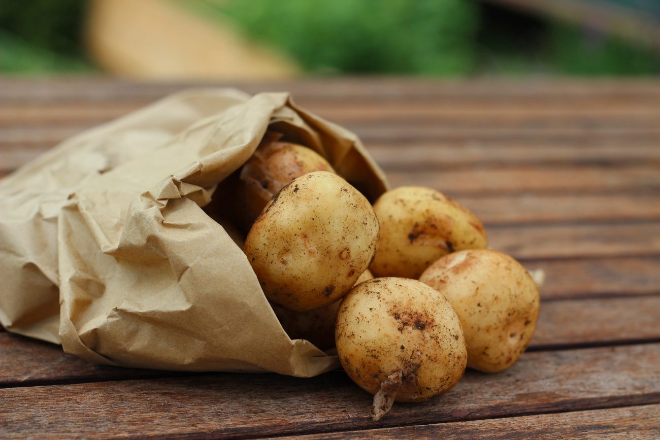 Frühkartoffeln schmecken mit und ohne Schale