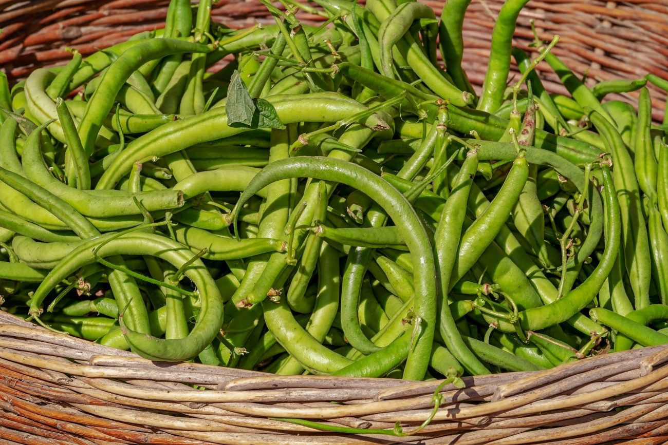 Grüne Bohnen immer gut durchkochen