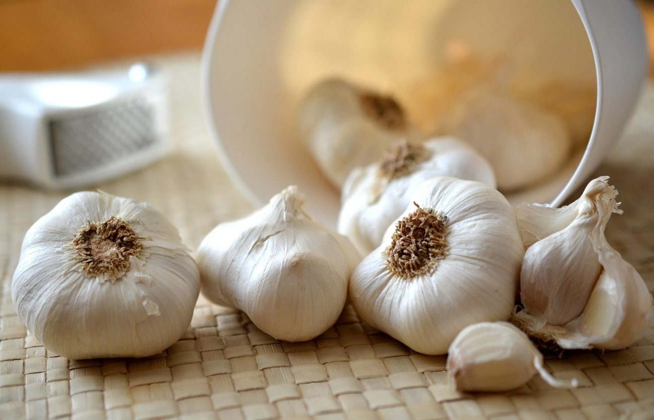 Kleine Powerknolle: Wie gesund ist Knoblauch?